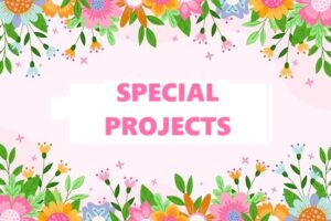 Special Projects
