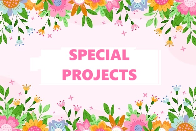 Special Projects